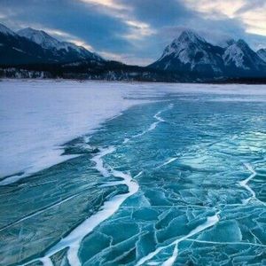 Meet your Posher, Nolan